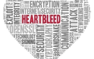 Security takeaways from the Heartbleed bug incident