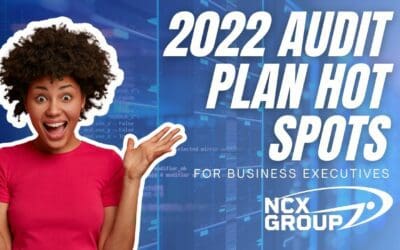 2022 audit plan hot spots for business executives