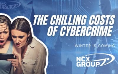 Winter is Here – The Chilling Costs of Cybercrime in 2024